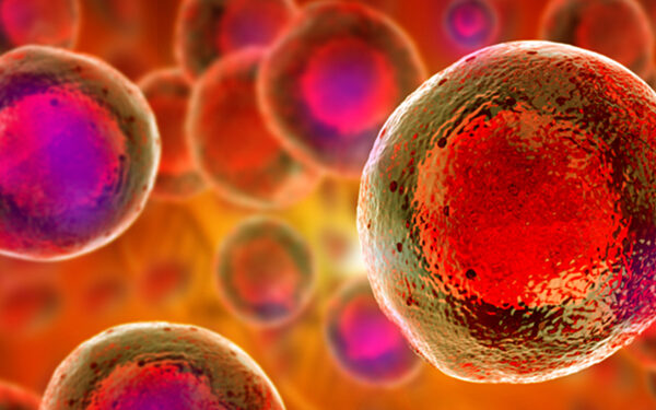 hd what is flow cytometry propidium iodide cell cycle protocol