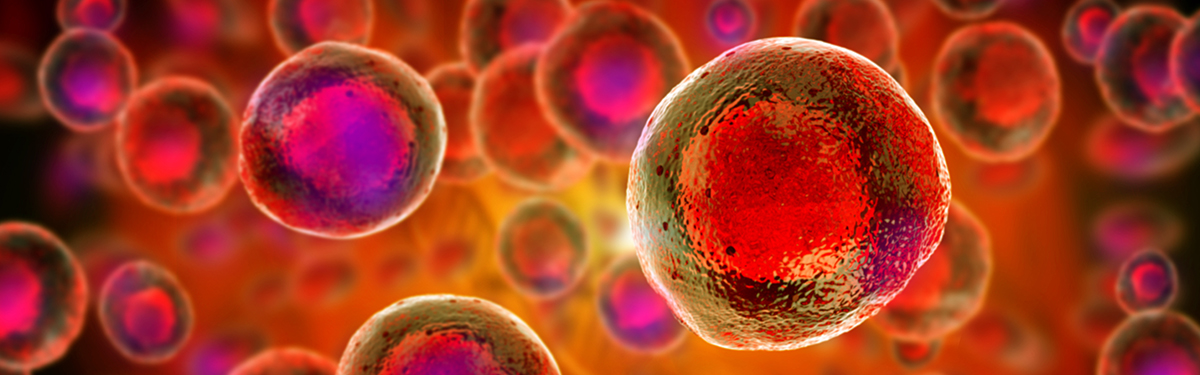 hd what is flow cytometry propidium iodide cell cycle protocol