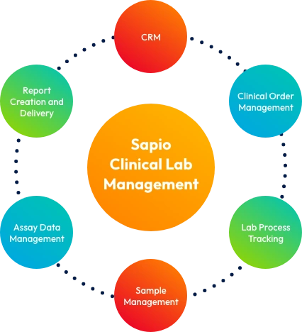 clinical lab management diagram