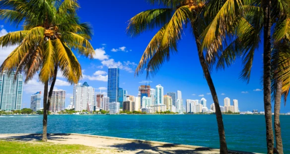miami skyline
