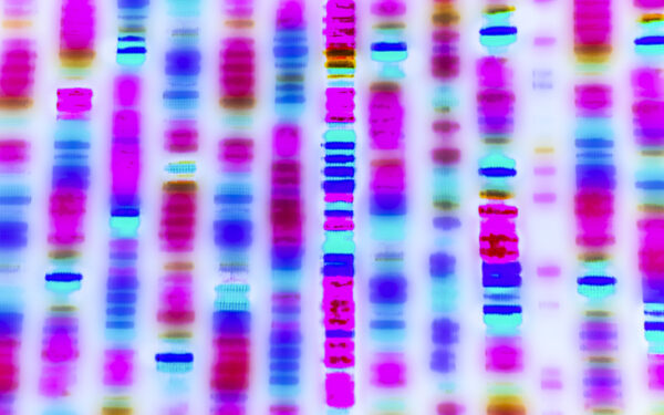 dna sequence