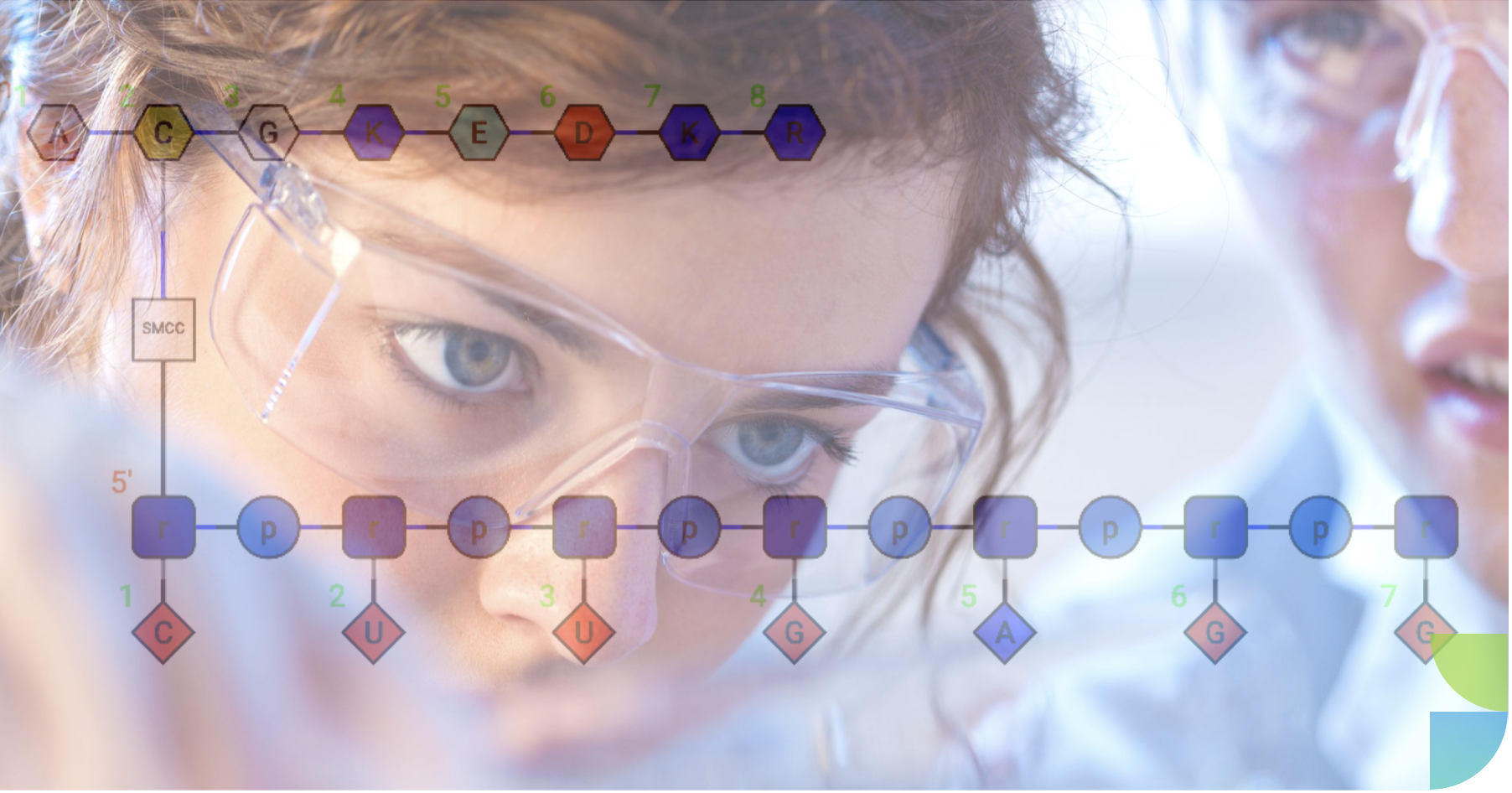 Sapio Multimodal Registration for life sciences and HELM diagram