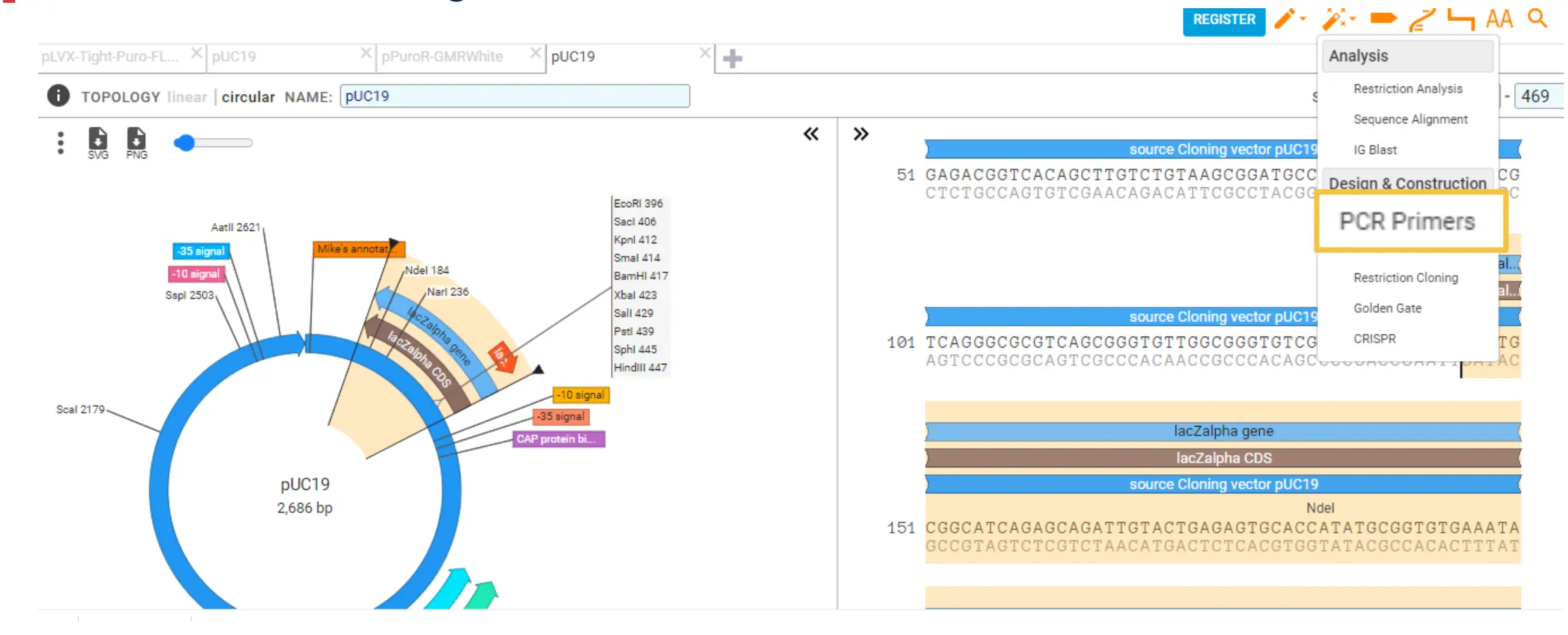 pcr primer design software
