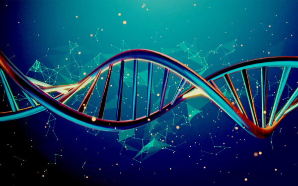 DNA Sequencing Technologies from Sanger to Onso