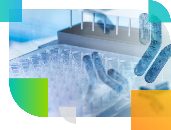 antibody drug conjugates