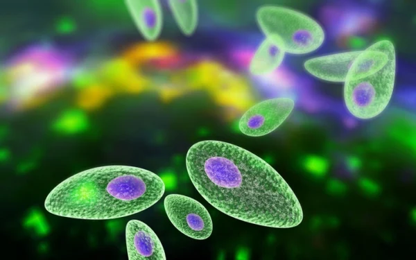 single cell LIMS and ELN