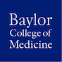 baylor hgsc logo