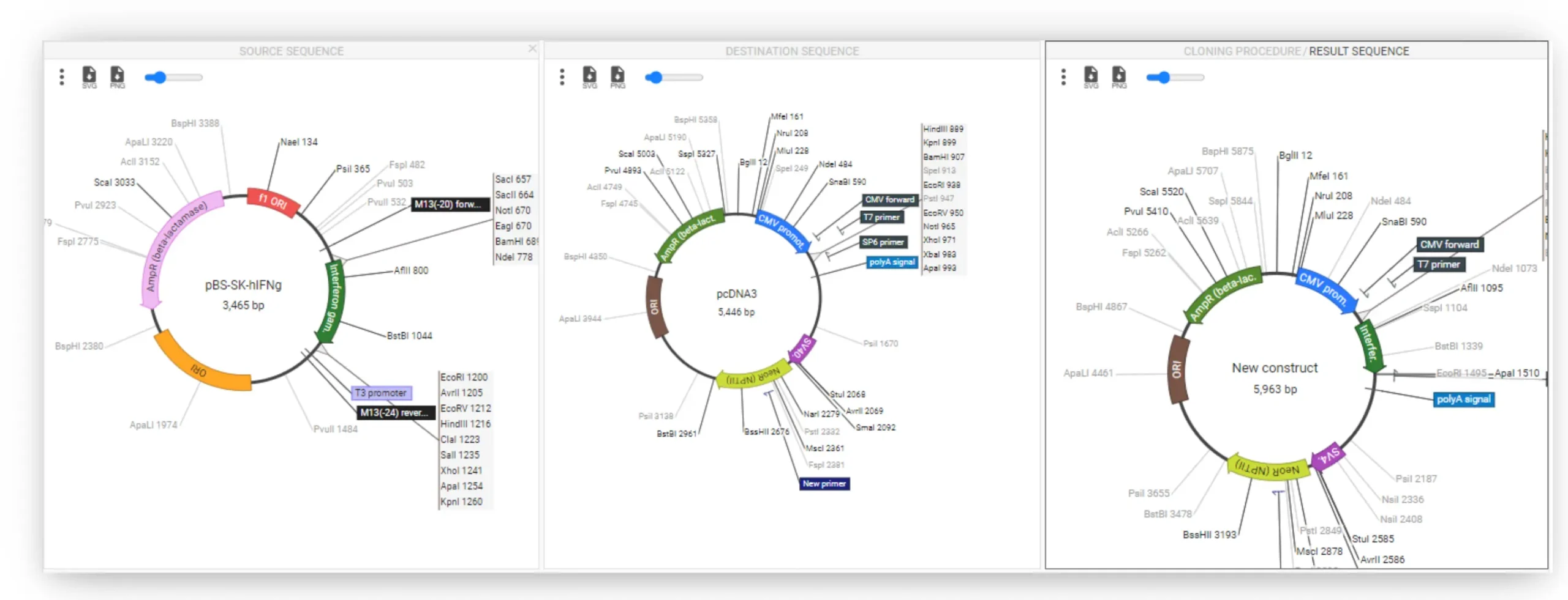restriction cloning software