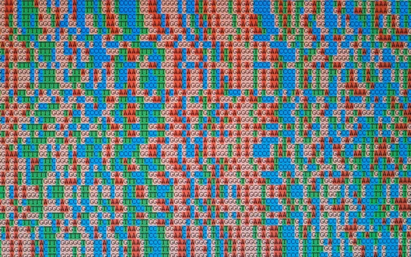 ngs software
