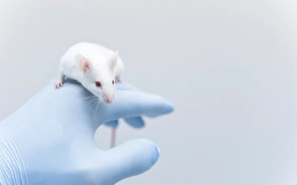 in vivo system