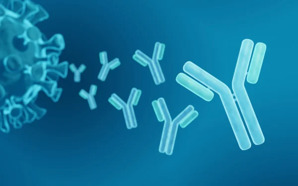 antibody discovery software