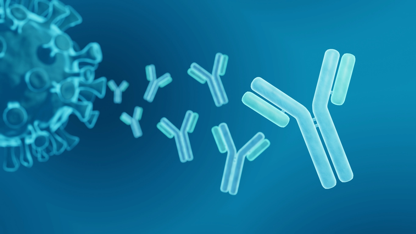antibody discovery software