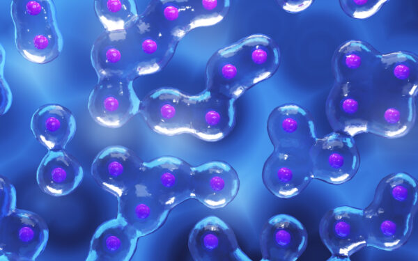 cells dividing or mitosis of cells