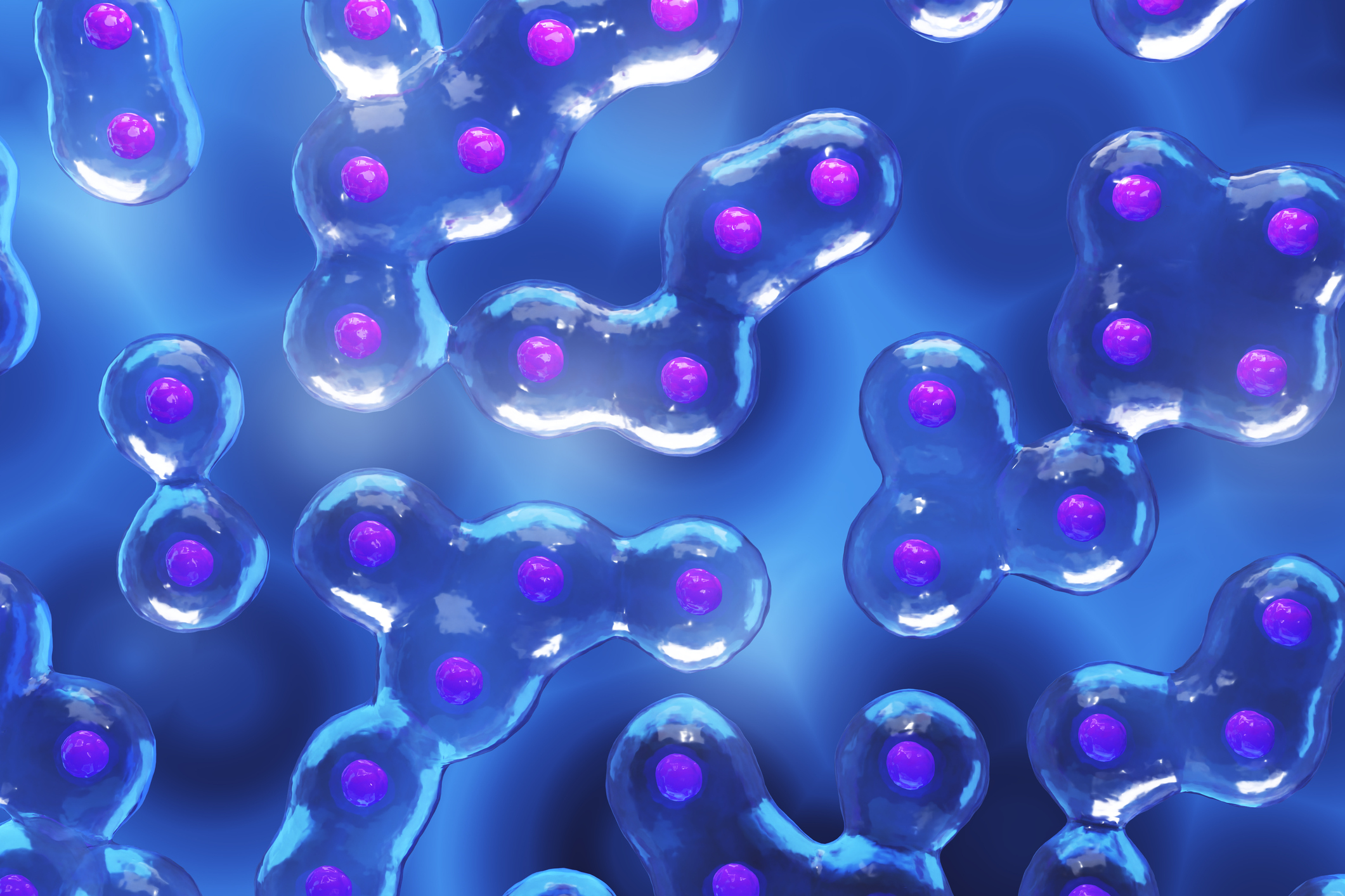 cells dividing or mitosis of cells