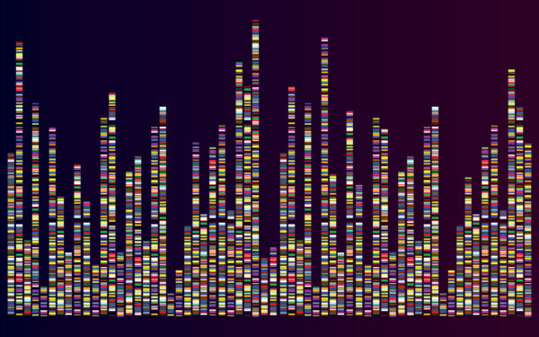 background of abstract genetic map storage ,gathering and organizing data ,examining genetic data,genome map research